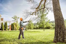 Best Tree Removal  in Riner, VA